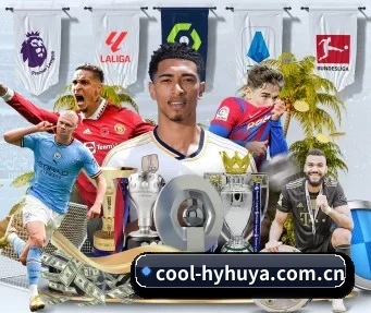 cool-hyhuya.com.cn APP 界面